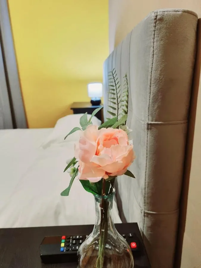 Rose Inn Guest House Pise