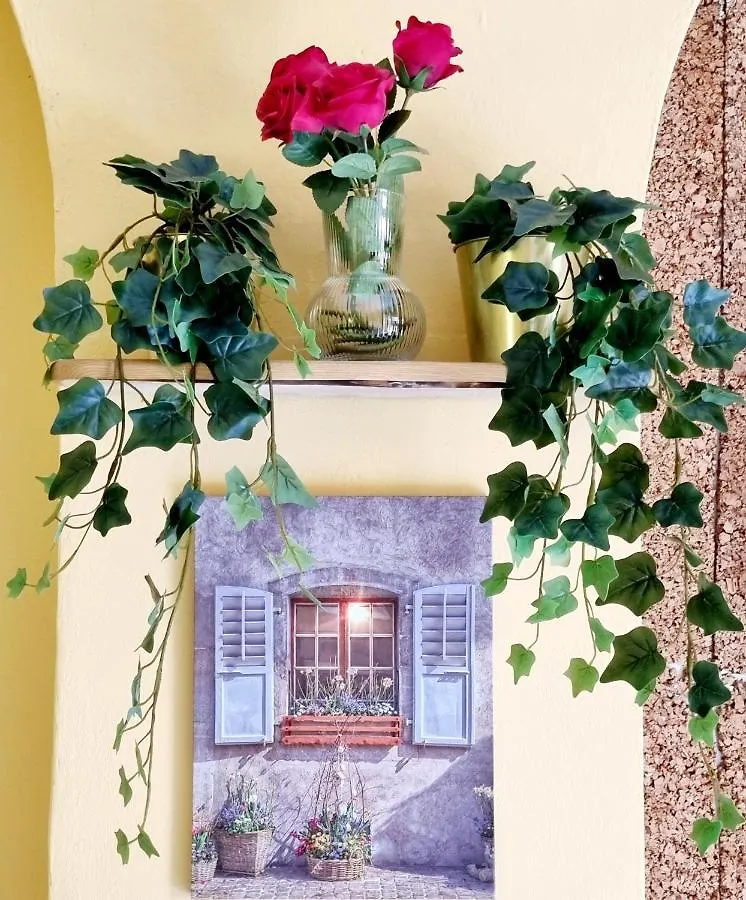 Rose Inn Guest House Pise